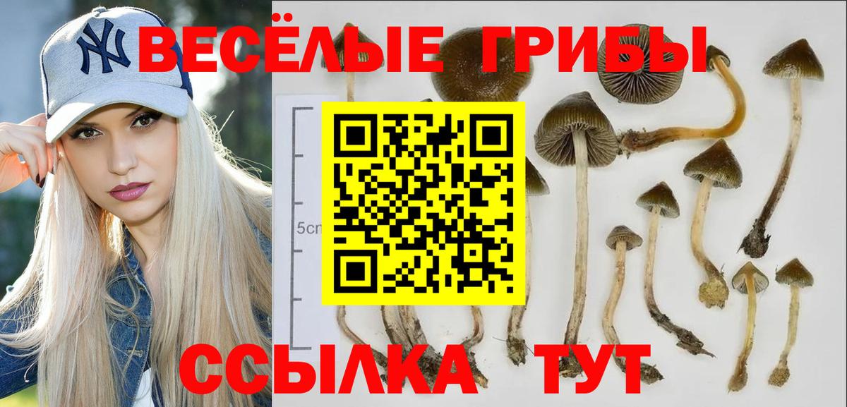 Шатура  Псилоцибиновые грибы Magic Shrooms  Вход с VPN 